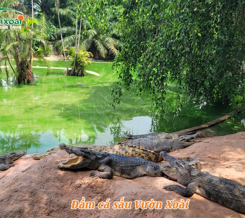 ĐỀN HÙNG – KHU DU LỊCH VƯỜN XOÀI