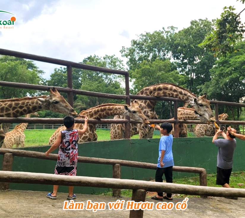 ĐỀN HÙNG – KHU DU LỊCH VƯỜN XOÀI