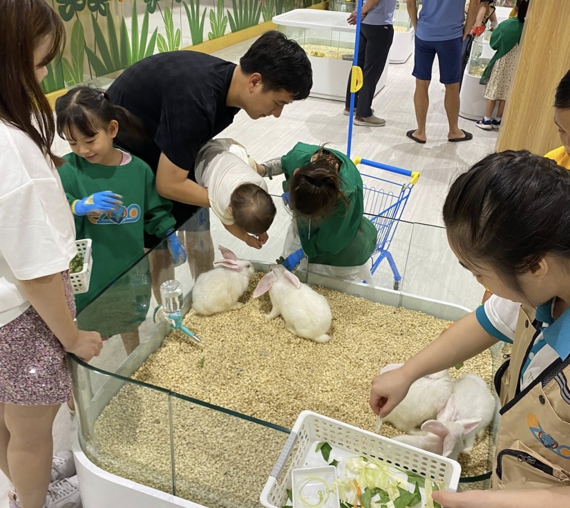 VƯỜN THÚ CHÚ VOI CON - EZOO ( VINCOM THẢO ĐIỀN ) 