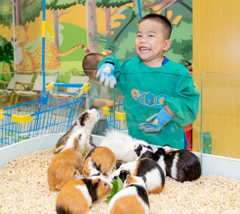 VƯỜN THÚ CHÚ VOI CON - EZOO ( VINCOM THẢO ĐIỀN ) 