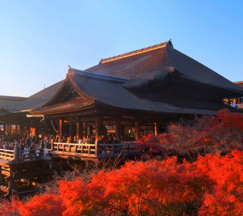 LÃNG MẠN SẮC THU "NHẬT BẢN  KOBE – OSAKA – KYOTO – YAMANASHI – FUJI – TOKYO"