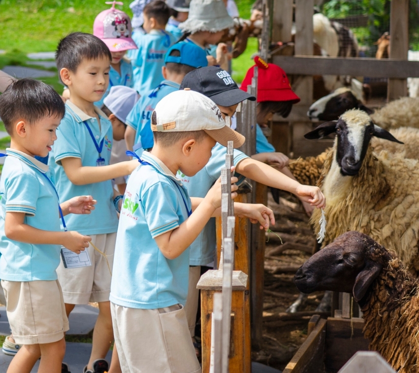MÂY FARM - DU LỊCH CAO NGUYÊN ĐÀ LẠT TRONG NỮA NGÀY 