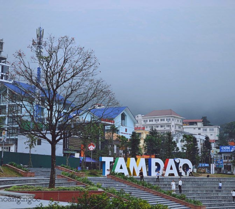 Tour nghỉ dưỡng miền Bắc: HẢI PHÒNG - HÀ NỘI - TAM ĐẢO - TUẦN CHÂU 