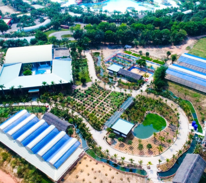 GỐM SỨ BÌNH DƯƠNG  - NÔNG TRẠI CÀNG CUA - VƯỜN THÚ ĐẠI NAM 