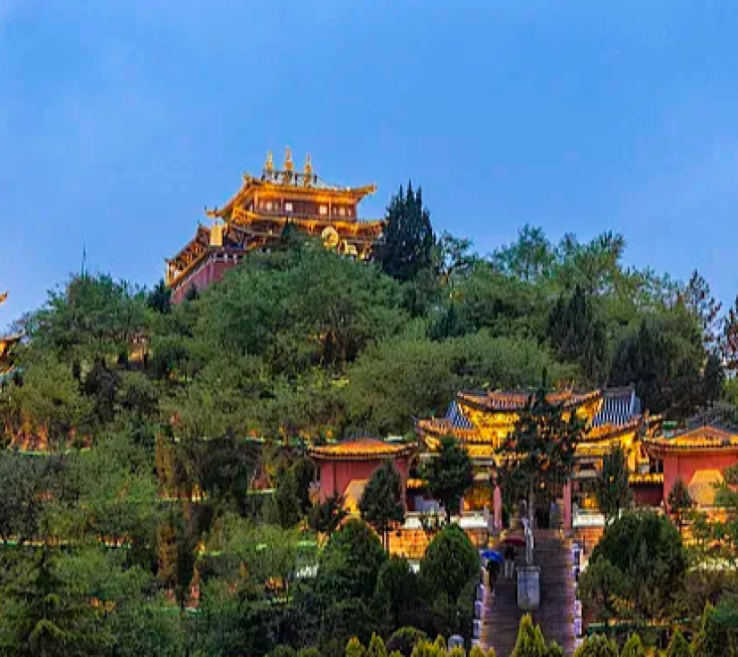 TRƯƠNG GIA GIỚI PHƯỢNG HOÀNG CỔ TRẤN 