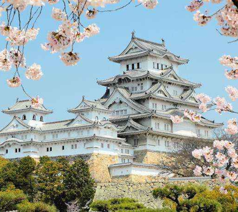 LÃNG MẠN SẮC THU "NHẬT BẢN  KOBE – OSAKA – KYOTO – YAMANASHI – FUJI – TOKYO"