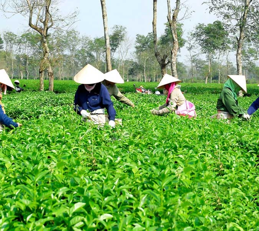 Thuỷ Điện Yaly – Biển Hồ Gialai – Kontum - Măng Đen 