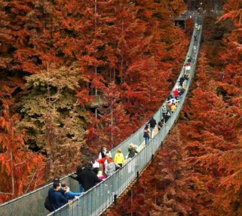 DU LỊCH ĐÔNG - TÂY CANADA   TORONTO – NIAGARA FALLS – THOUSAND ISLANDS  OTTAWA – VANCOUVER – VICTORIA 