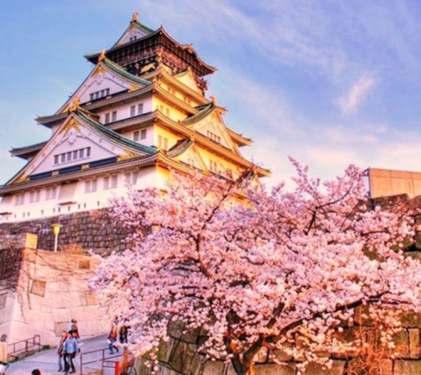 NHẬT BẢN RỰC RỠ MÙA HOA CHI ANH: OSAKA - KYOTO - PHÚ SĨ - NAGOYA - TOKYO (6 NGÀY 5 ĐÊM)