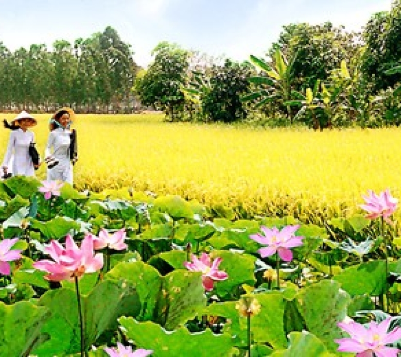 NGŨ HÀNH SƠN – BIỂN NON NƯỚC – BÀ NÀ  ĐẠI NỘI – CUNG ĐÌNH HUẾ - SÔNG HƯƠNG