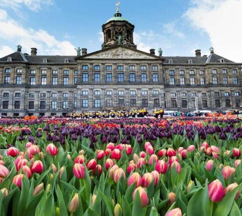 ĐỨC - HÀ LAN – BỈ - LUXEMBOURG – PHÁP 9 ngày 8 đêm