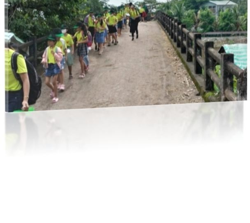 CHƯƠNG TRÌNH THAM QUAN – HỌC TẬP – TRẢI NGHIỆM  GREEN PARK