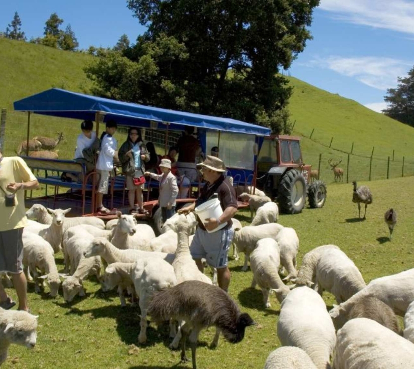 NEW ZEALAND: GIẤC MƠ NƠI TẬN CÙNG THẾ GIỚI 