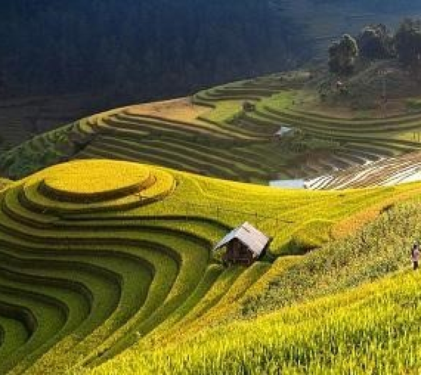 MÙ CANG CHẢI - ĐÈO KHAU PHẠ - TÚ LỆ - TRẠM TẤU 4n3d 