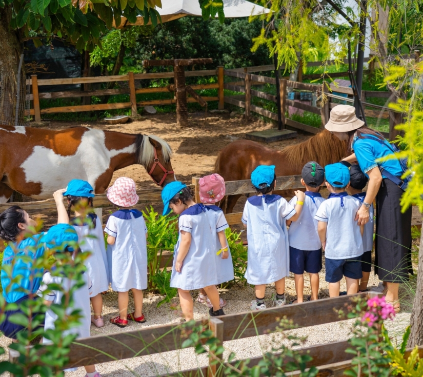 MÂY FARM - DU LỊCH CAO NGUYÊN ĐÀ LẠT TRONG NỮA NGÀY 