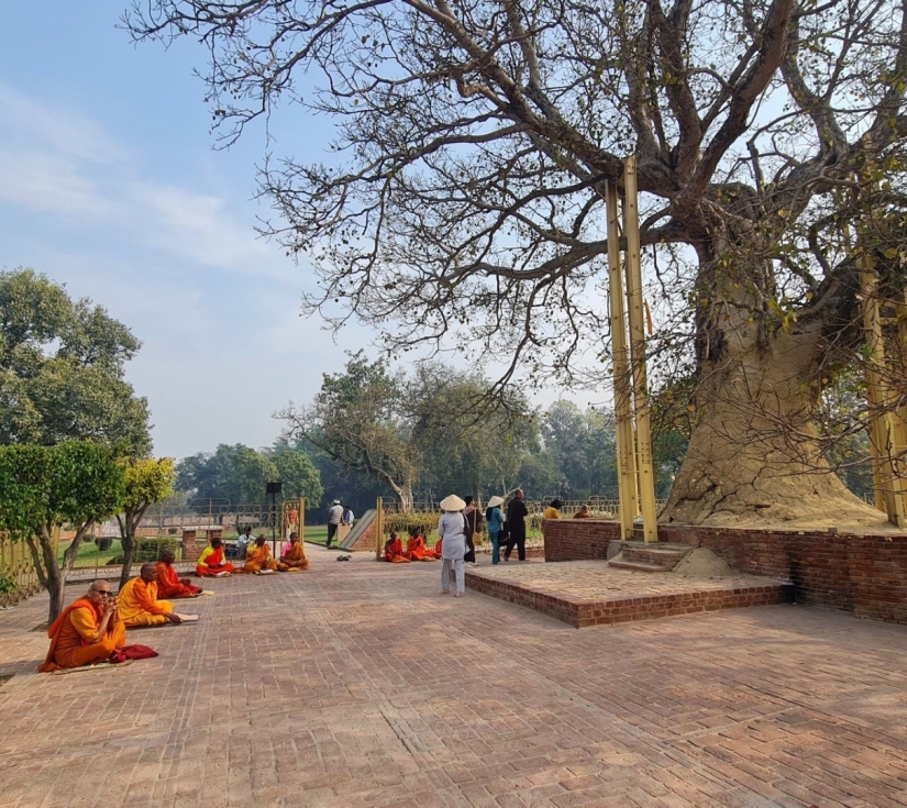 ẤN ĐỘ – NEPAL: TỨ ĐỘNG TÂM 10N9Đ