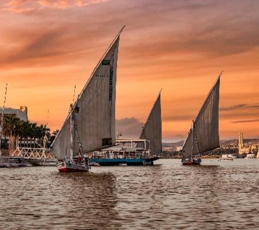 CAIRO - BAHARIYA – ALEXANDRIA - ASWAN - LUXOR - BIỂN ĐỎ
