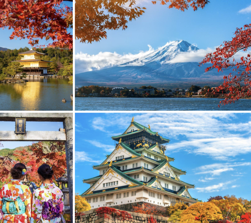 NHẬT BẢN RỰC RỠ MÙA HOA CHI ANH: OSAKA - KYOTO - PHÚ SĨ - NAGOYA - TOKYO (6 NGÀY 5 ĐÊM)