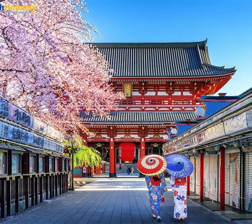 NHẬT BẢN RỰC RỠ MÙA HOA CHI ANH: OSAKA - KYOTO - PHÚ SĨ - NAGOYA - TOKYO (6 NGÀY 5 ĐÊM)