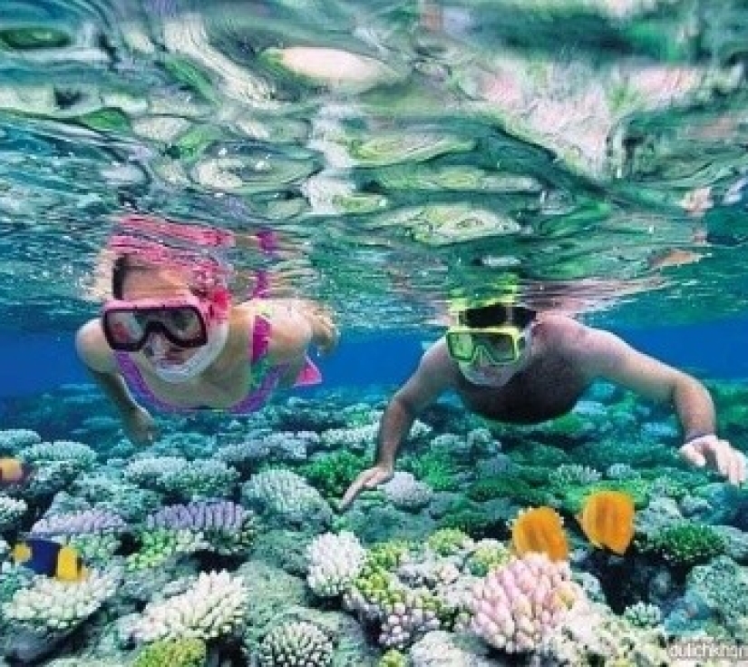 tour Cù Lao Câu - Thiên đường ngắm san hô - Cổ Thạch - Mũi Né