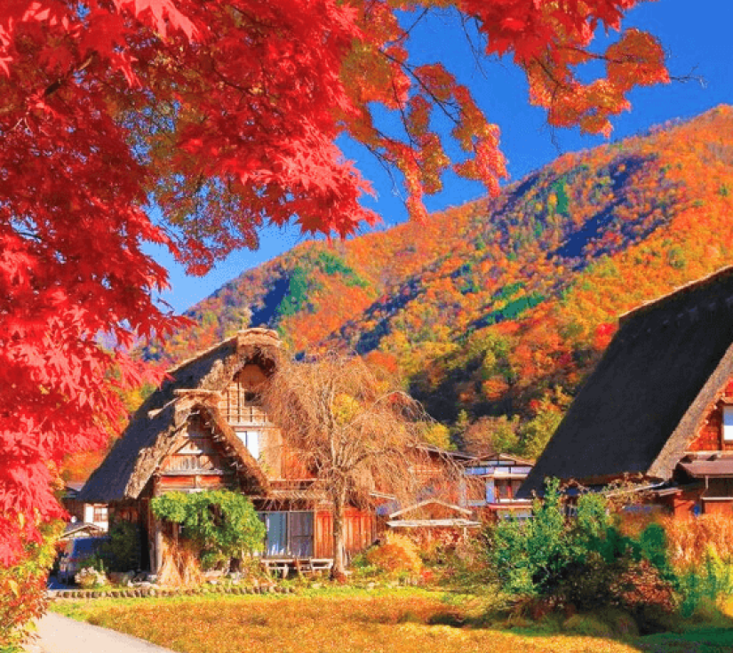 CHINH PHỤC CUNG ĐƯỜNG TUYẾT TATEYAMA – MIỀN CỔ TÍCH SHIRAKAWA-GO ( 4 Ngày 3 Đêm )