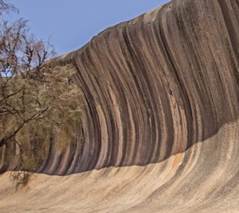 TÂY ÚC: PERTH – WAVE ROCK – SWAN VALLEY – PINNACLES SAFARI