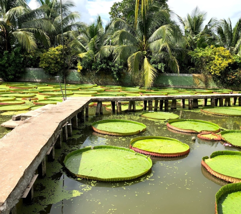 ĐỒNG THÁP – CHÙA PHẬT NGỌC 1 NGÀY