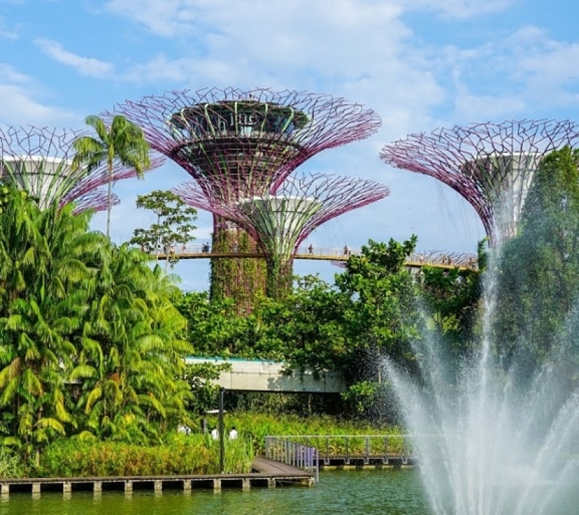 SINGAPORE - MALAYSIA 