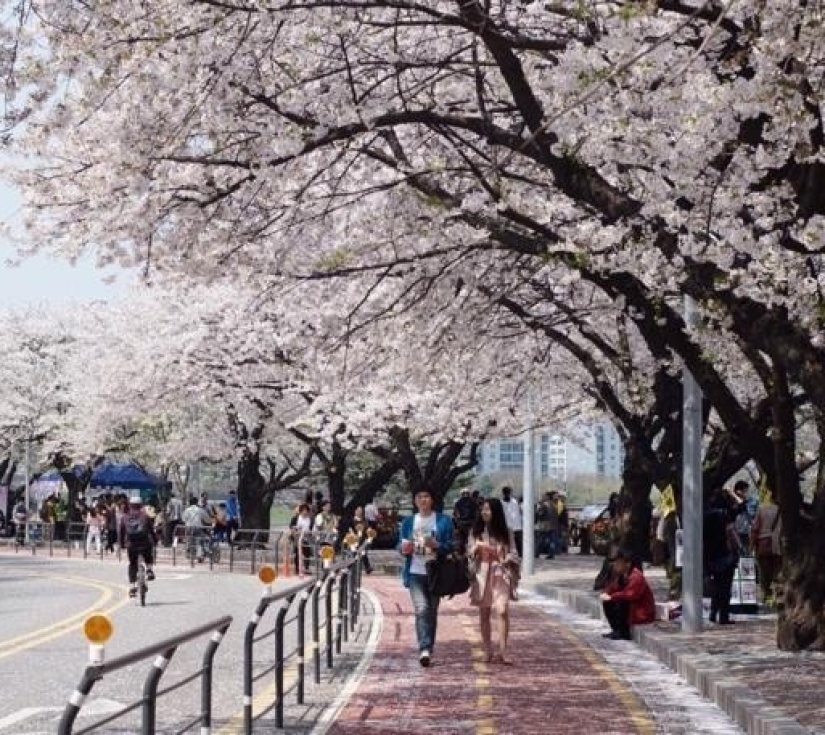 Tour du lịch SEOUL - NAMI - EVERLAND 5 ngày 4 đêm