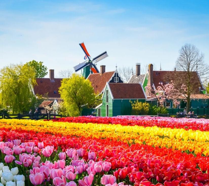 CHÂU ÂU: ĐỨC - HÀ LAN - BỈ - PHÁP 8N8Đ