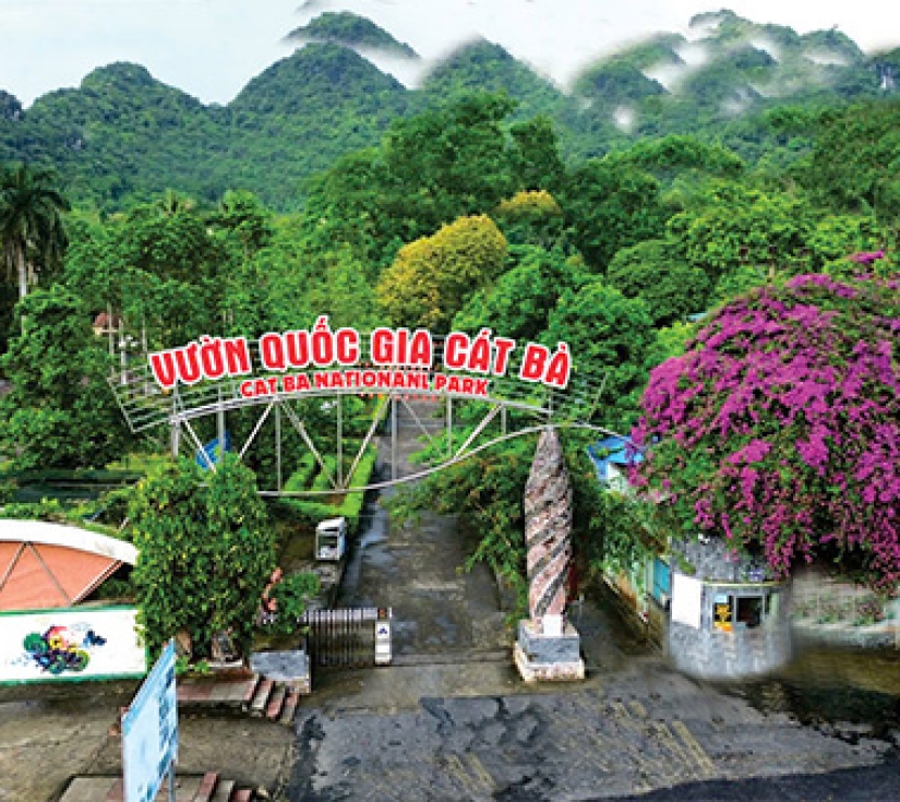 TOUR ĐẢO CÁT BÀ – VỊNH LAN HẠ