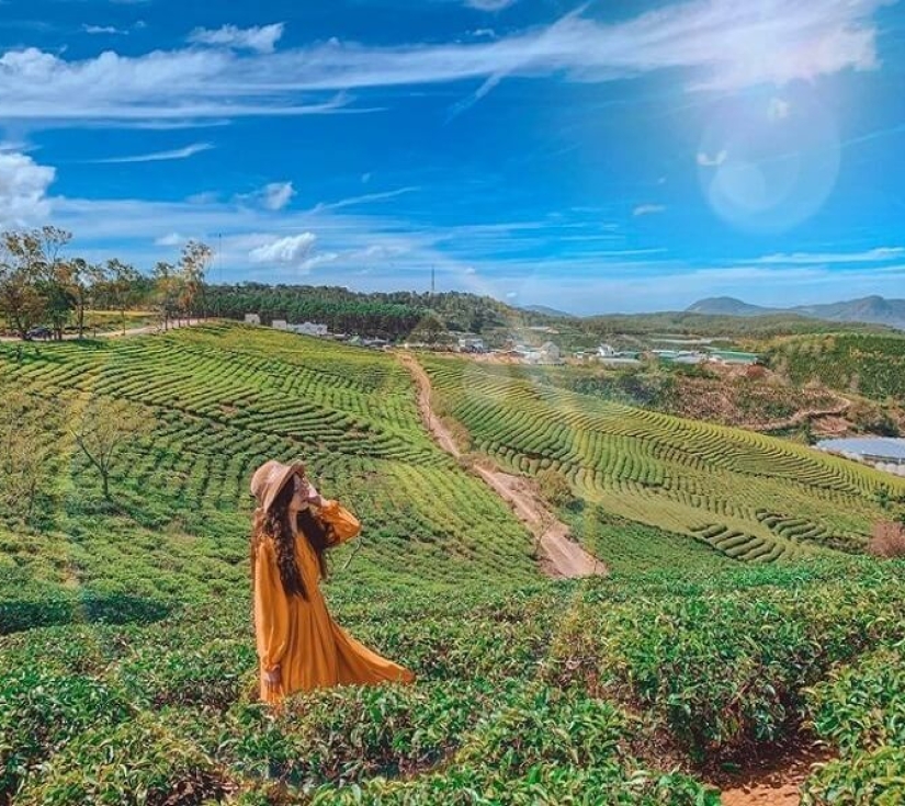 Tour du lịch Tp.HCM - Đà Lạt