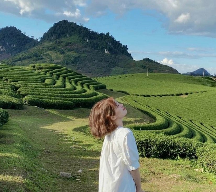 Tour Tây Nguyên Hùng Vĩ: Hồ Tà Đùng – KDL Top View – Thác Lưu Ly – Đồi Chè Gia Nghĩa