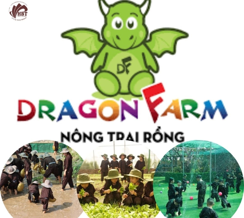 DRAGON FARM – CHƯƠNG TRÌNH TRẢI NGHIỆM HỌC TẬP 2025–2026