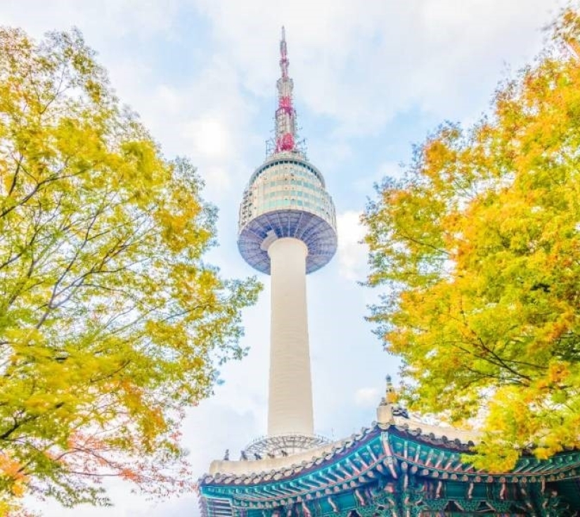 HÀNH TRÌNH TÌNH YÊU TRÊN ĐẤT HÀN: SEOUL - VƯỜN BAN MAI TĨNH LẶNG - LOTTE WORLD (5 NGÀY 4 ĐÊM)