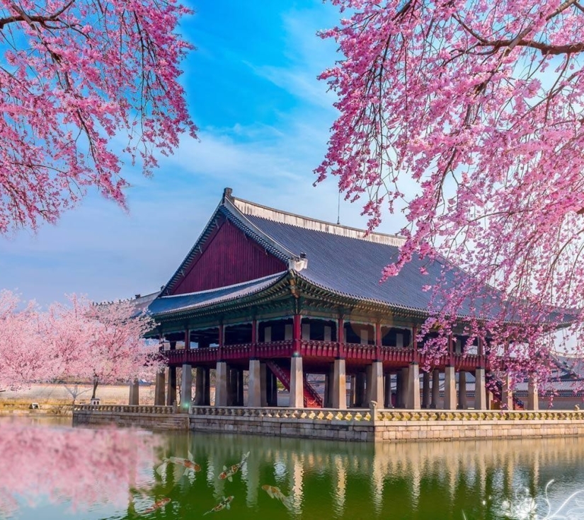 Tour du lịch SEOUL - NAMI - EVERLAND 5 ngày 4 đêm