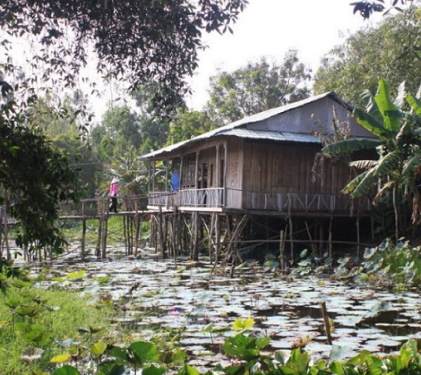 DU LỊCH : CHỮA LÀNH" - KHU DU LỊCH GÁO GIỒNG  