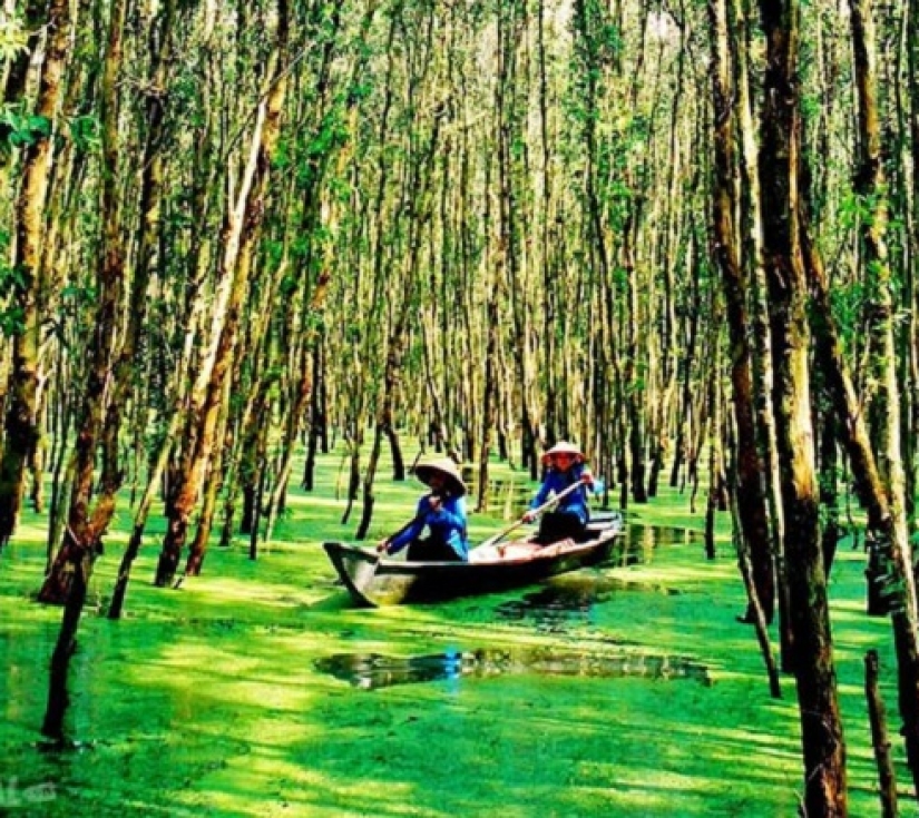 DU LỊCH : CHỮA LÀNH" - KHU DU LỊCH GÁO GIỒNG  