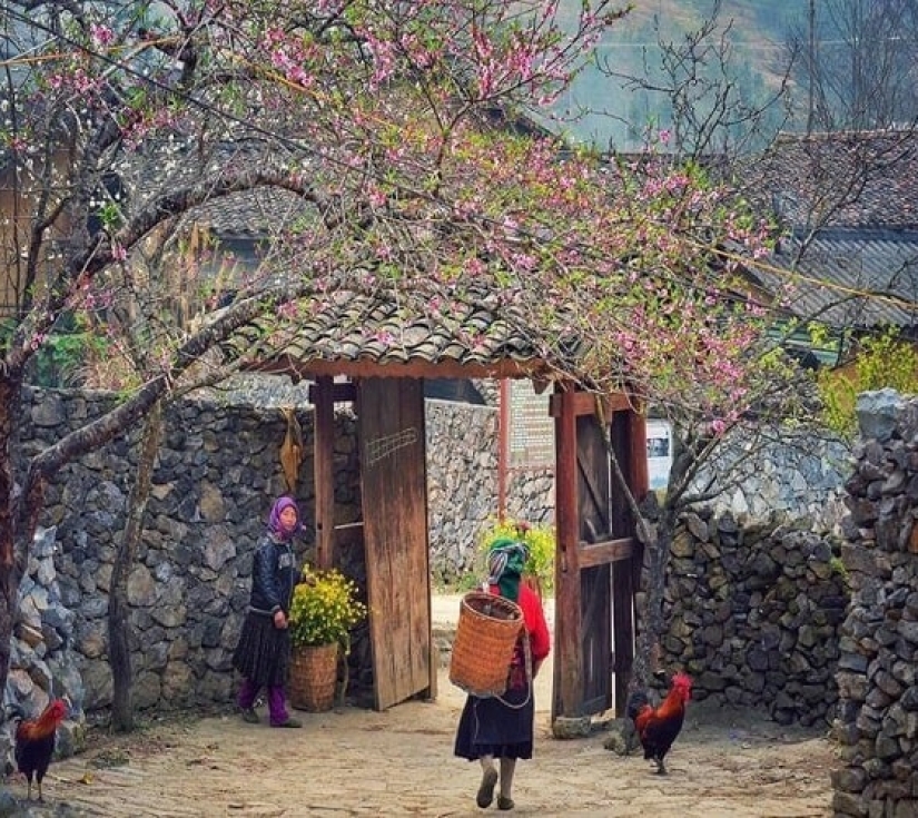 HÀ NỘI - HÀ GIANG - LŨNG CÚ - ĐÈO MÃ PHÌ LÈNG – SÔNG NHO QUẾ - SAPA – FANSIPAN