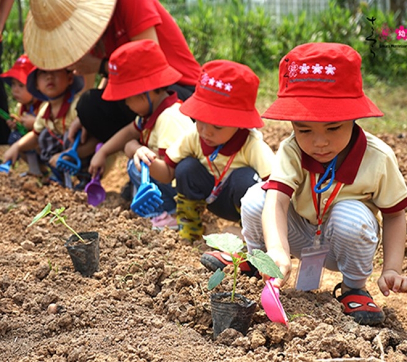 NÔNG TRẠI XANH – GREEN NOEN