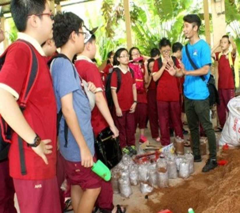 NÔNG TRẠI XANH – GREEN NOEN