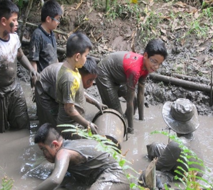 NÔNG TRẠI XANH – GREEN NOEN