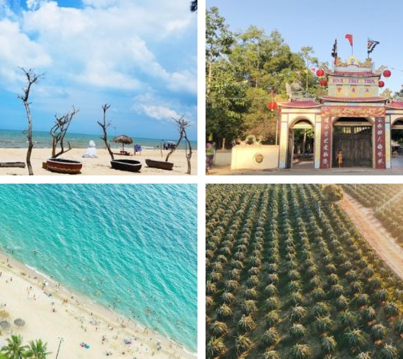 HÀM TÂN – MŨI KÊ GÀ – DINH THẦY THÍM