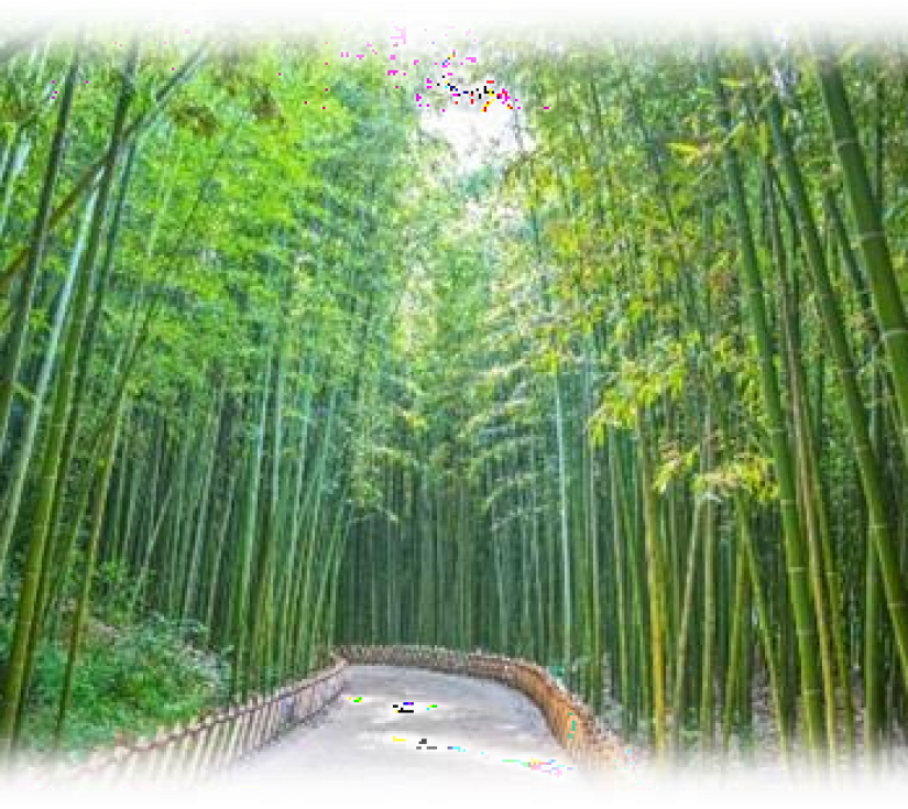  KHÁM PHÁ KINH ĐÔ VƯƠNG TRIỀU SILLA: BUSAN - GYEONGJU - ULSAN - SEOUL 