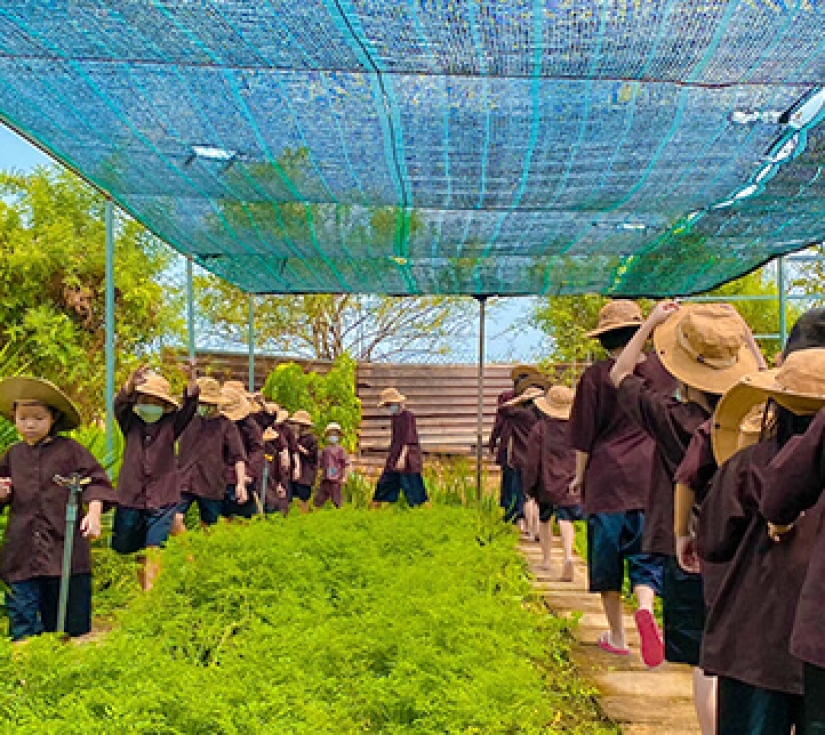 CHƯƠNG TRÌNH NGOẠI KHOÁ NÔNG TRẠI MINT FARM 