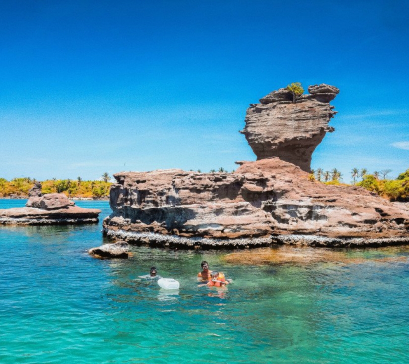 CÂU CÁ - NGẮM SAN HÔ – CÁP TREO HÒN THƠM VƯỜN THÚ SAFARI – VINWONDER