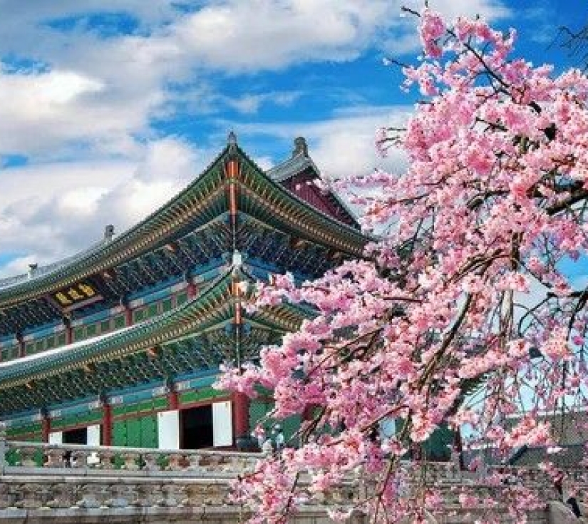 HÀN QUỐC 5N4Đ: SEOUL – ĐẢO NAMI – EVERLAND – CUNG ĐIỆN GYEONGBOK