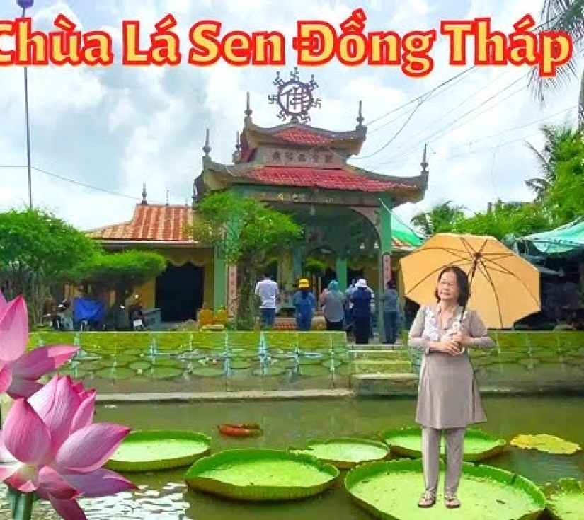 Tour Du Lịch Đồng Sen Tháp Mười và Chùa Sen Vua