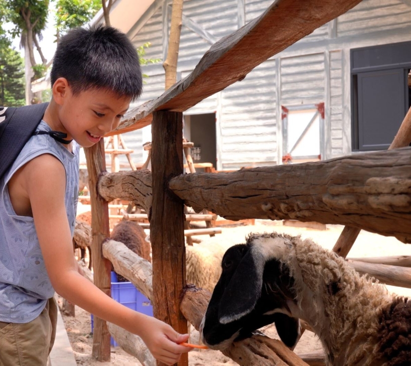 CHƯƠNG TRÌNH NGOẠI KHOÁ NÔNG TRẠI MINT FARM 