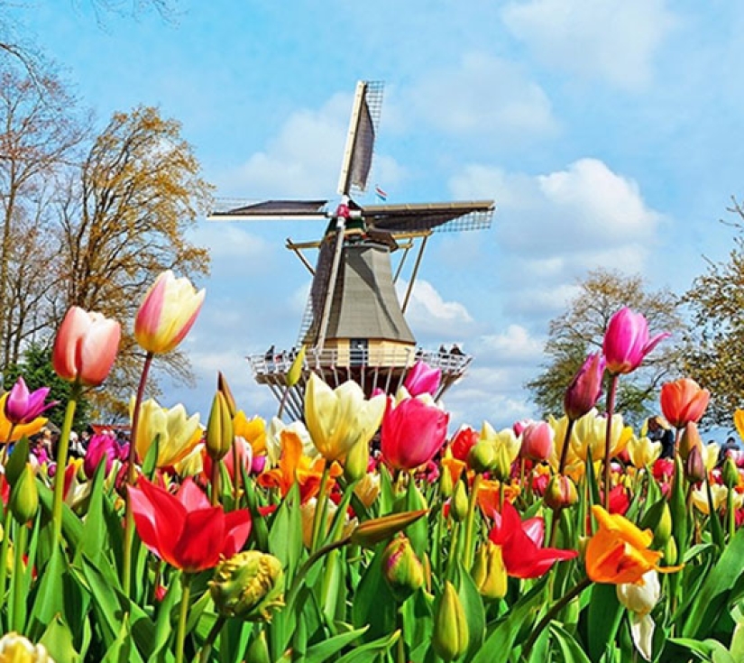 TÂY ÂU: HÀ LAN - ĐỨC - LUXEMBOURG - PHÁP - BỈ 10N9Đ